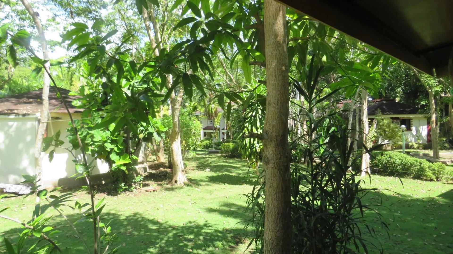 Alonaland Resort Panglao Philippines