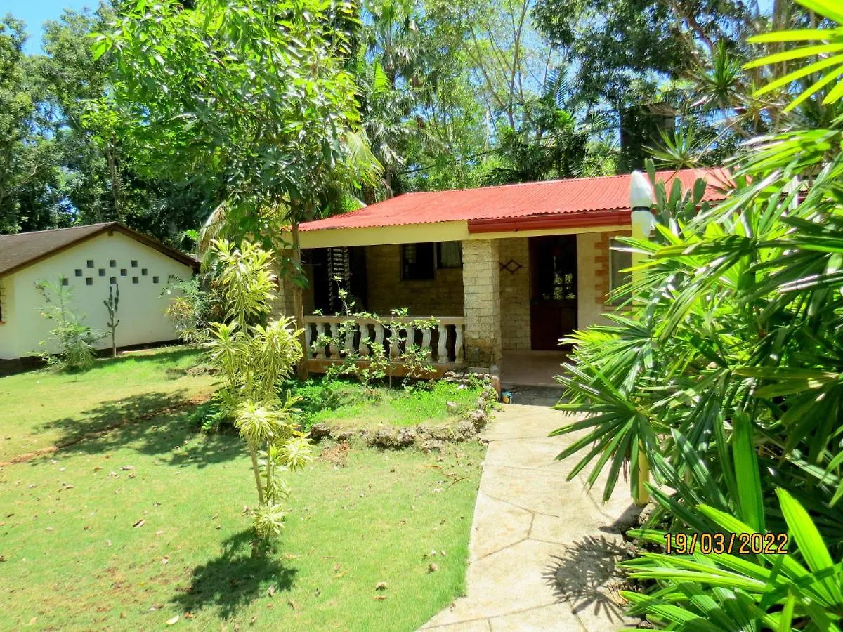 Alonaland Resort Panglao Guest house