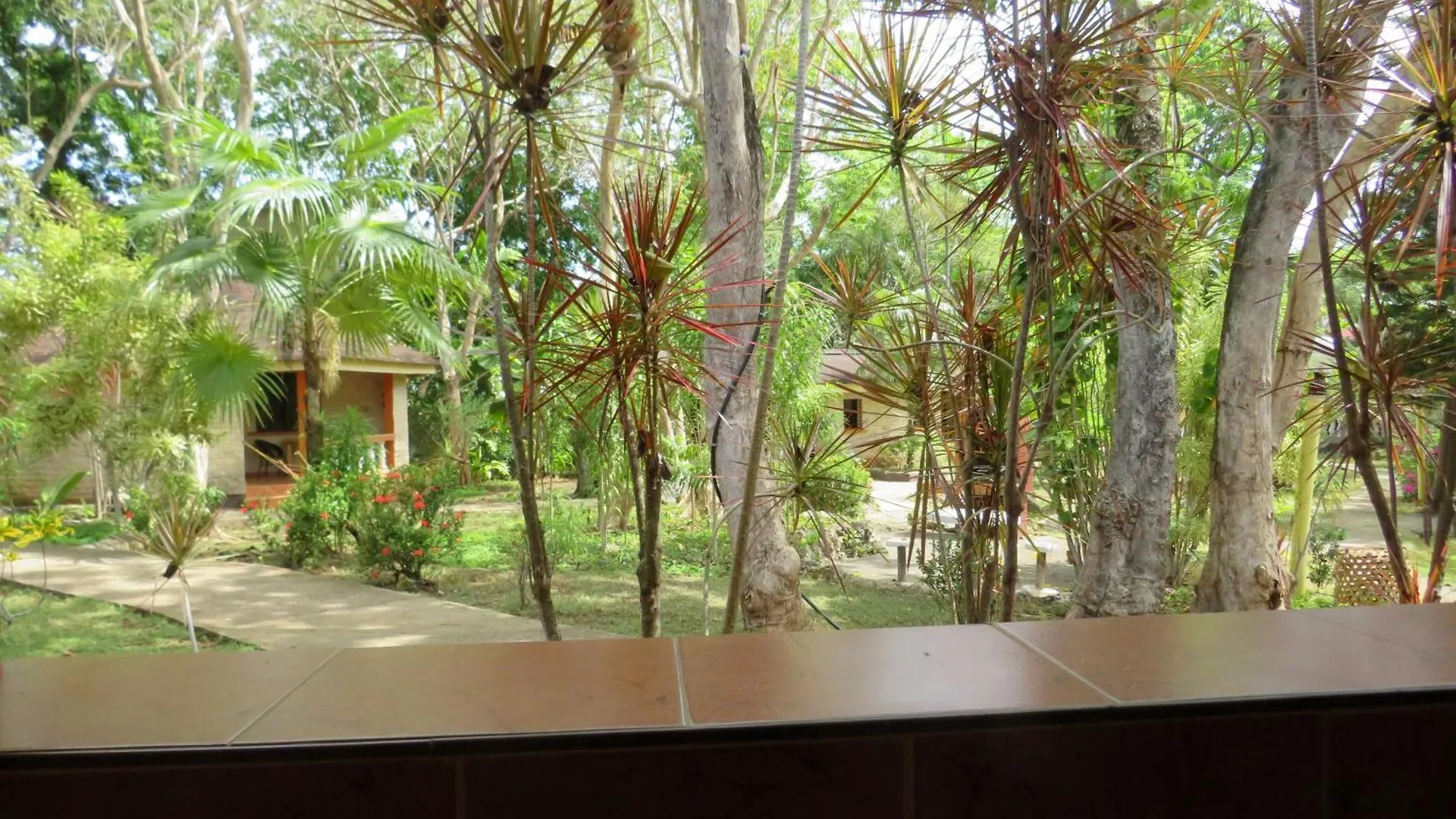 Alonaland Resort Panglao Philippines
