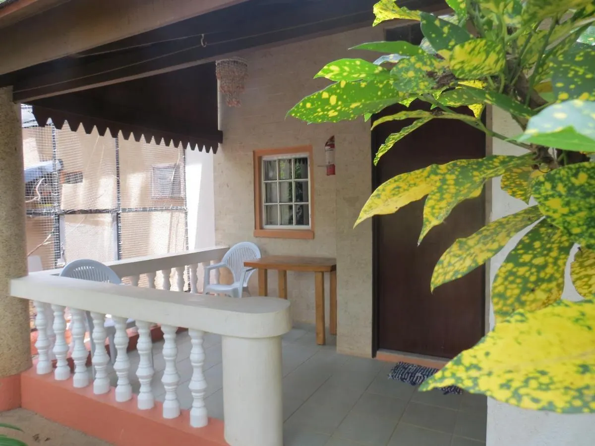 ** Gæstehus Alonaland Resort Panglao Filippinerne
