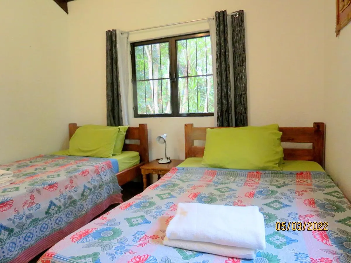 Alonaland Resort Panglao 2*,